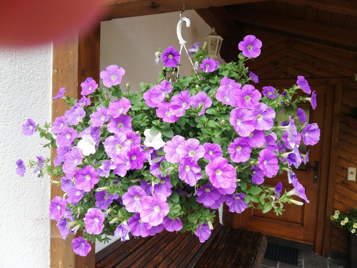 Haus Annemarie Apartments Kartitsch - Hochpustertal Екстериор снимка