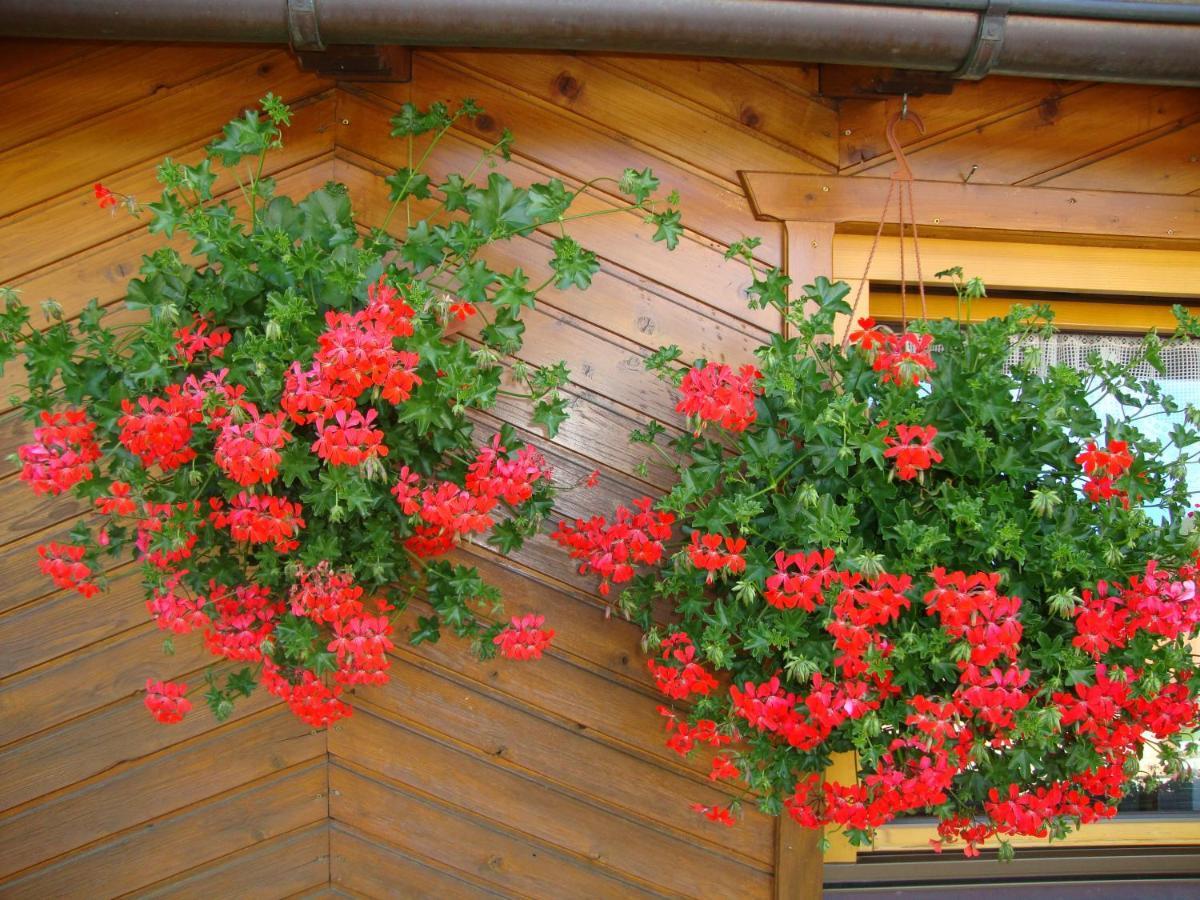 Haus Annemarie Apartments Kartitsch - Hochpustertal Екстериор снимка
