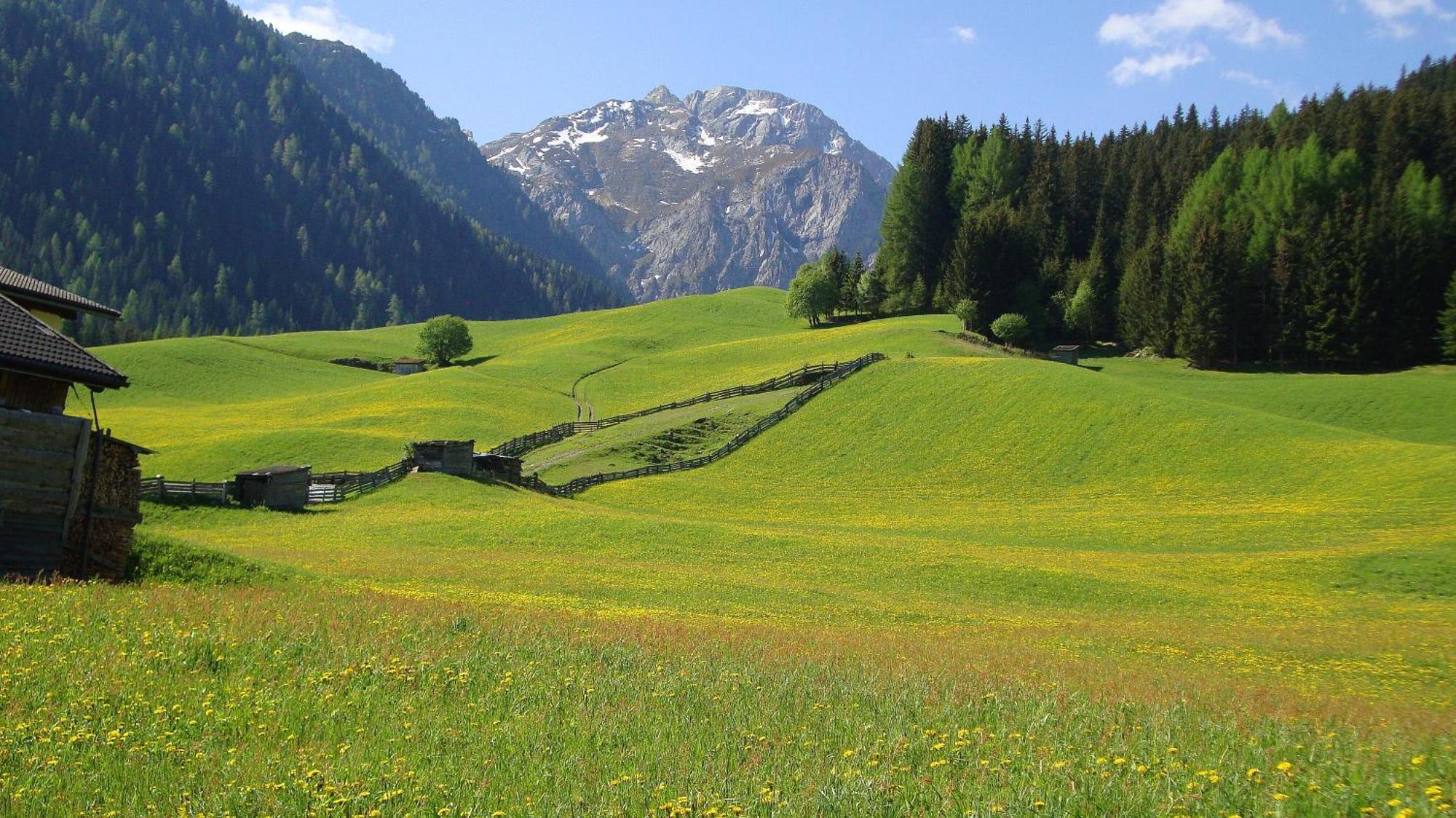 Haus Annemarie Apartments Kartitsch - Hochpustertal Екстериор снимка